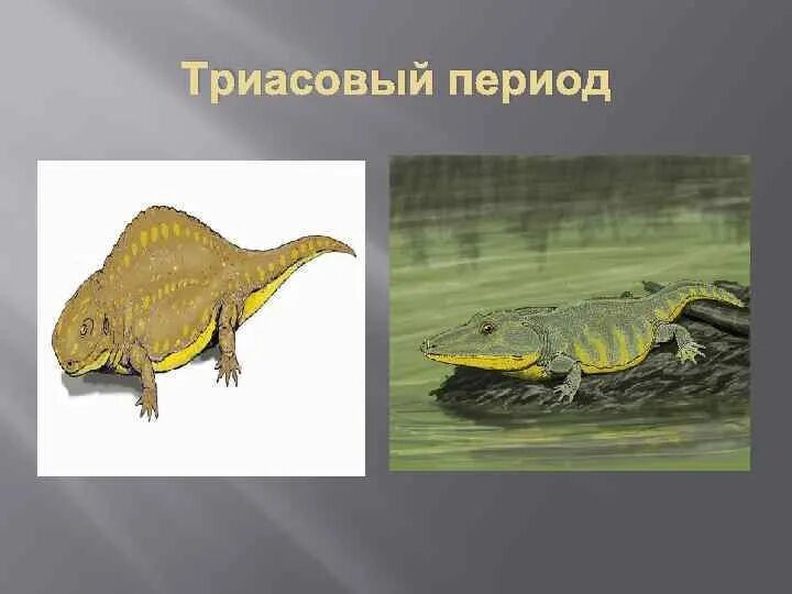Мезозой презентация 11 класс. Мезозой презентация 11 класс