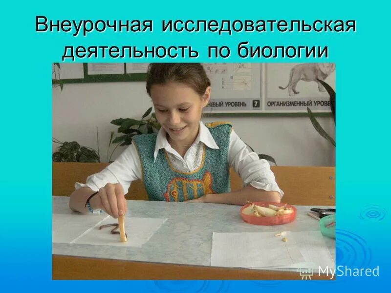 Внеурочная исследовательская работа. Внеурочная исследовательская работа. Планирование исследовательской работы включает в себя. Формы подведения итогов внеурочной деятельности младших школьников. Я исследователь.