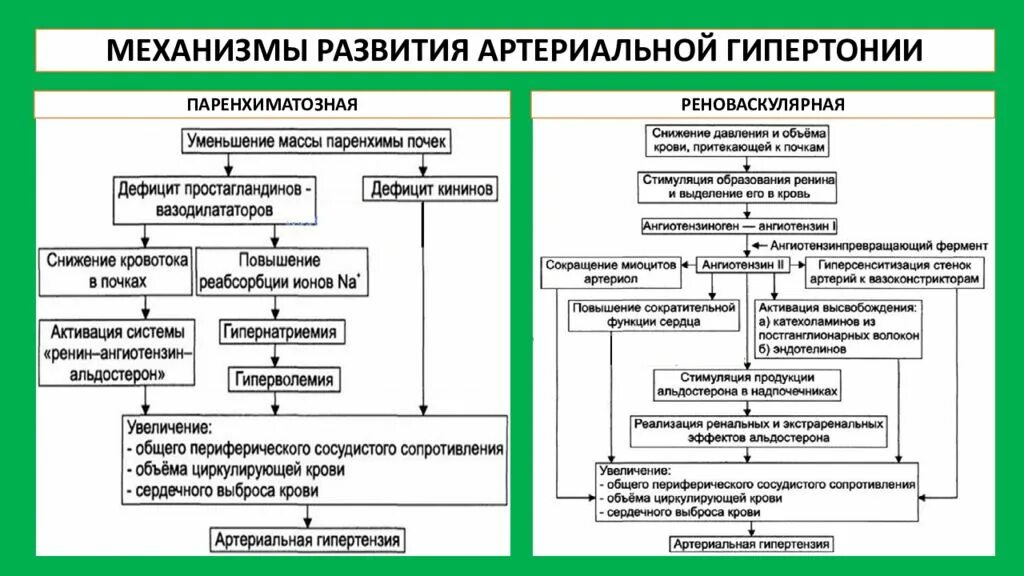 Гематурия гипертонический и отечный синдромы у детей