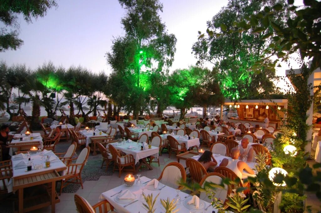 Okaliptus hotel. Поселок битез бодрум фото. Okaliptus hotel 4. Okaliptus hotel 4. Окалиптус бодрум.