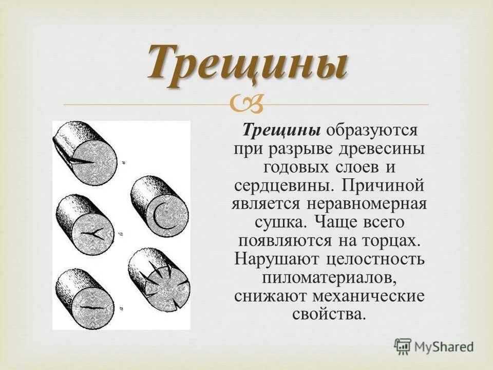 сердцевина почему е