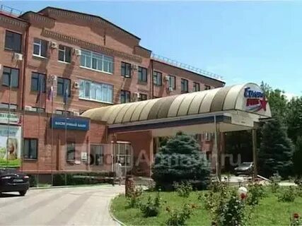 Платон армавир