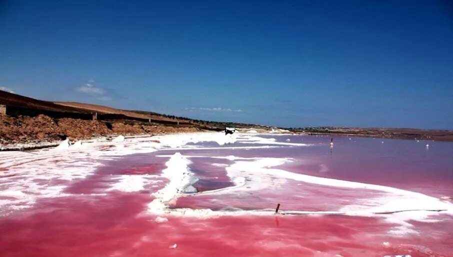 Розовый азербайджан. Озеро Масазыр Азербайджан. Соленому озеру Масазыр. Баку соленое озеро Масазыр. Розовое озеро Масазыр.