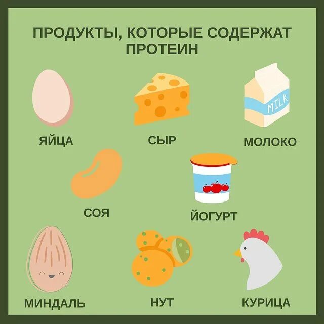 В чем содержится протеин. Продукты богатые протеином. продукты содержащие протеин. какие продукты богаты протеином. в каких продуктах содержится протеин.