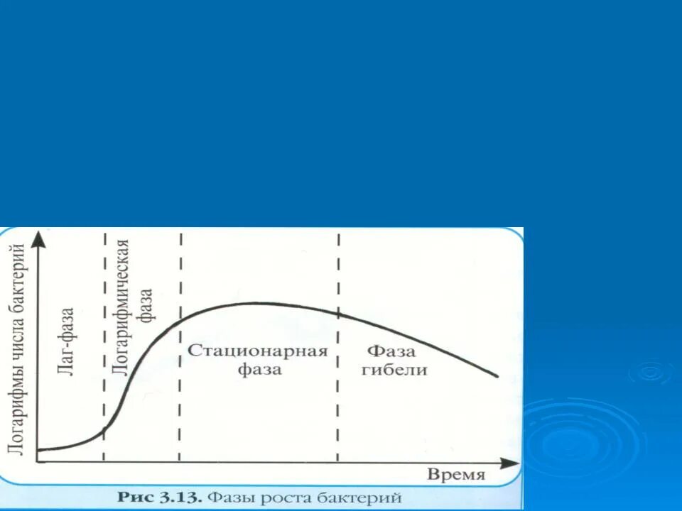 Стационарная кривая. Лаг фаза роста бактерий. Lag фаза роста бактерий. Лаг-фаза размножения бактерий. Продолжительность лаг фазы.