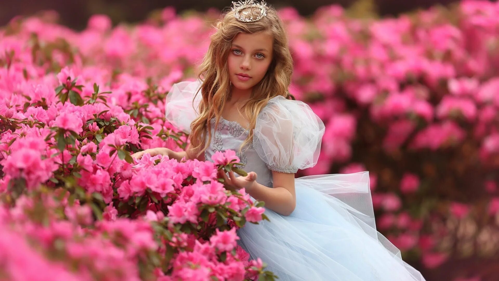 Цвет принцесс. Джейд Вебер принцесса. Jade Weber Katie Andelman. Девушка в розовом платье. Девушка в цветах.