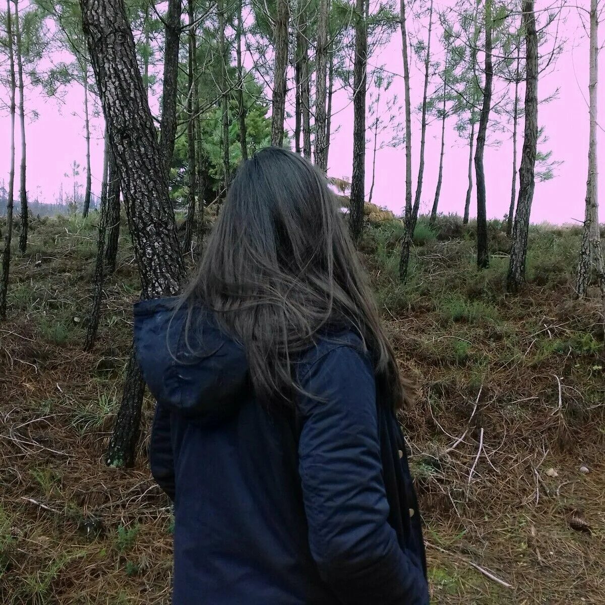 Девушка в белом платье со спины. Брюнетка в лесу со спины. Девушка сзади. Девушка с темными волосами в лесу. Брюнетка со спины в лесу.