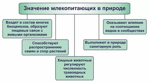 Отрицательная роль млекопитающих
