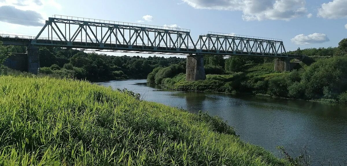 Мост через реку Днепр Смоленск. ЖД мост Днепр Смоленская область. Железнодорожные мосты в Смоленске. Река Днепр Смоленская область.