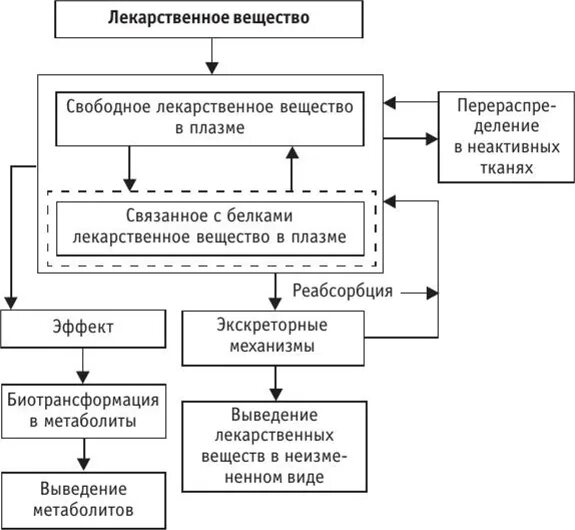 Алгоритм лекарственного вещества. Алгоритм лекарственного вещества