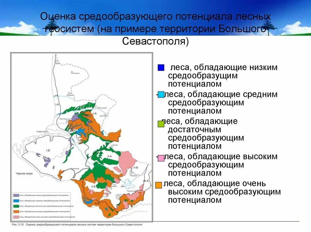 Трансграничная территория. Международные территории примеры. Примеры международных территорий примеры. Пример трансграничные территории. Территории со смешанным режимом примеры.