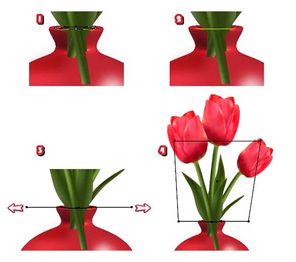 Нужно ли подрезать тюльпаны в вазе. Обрезать тюльпаны. Тюльпаны срезанные. Подрезка тюльпанов в вазе. Тюльпан в иллюстраторе.