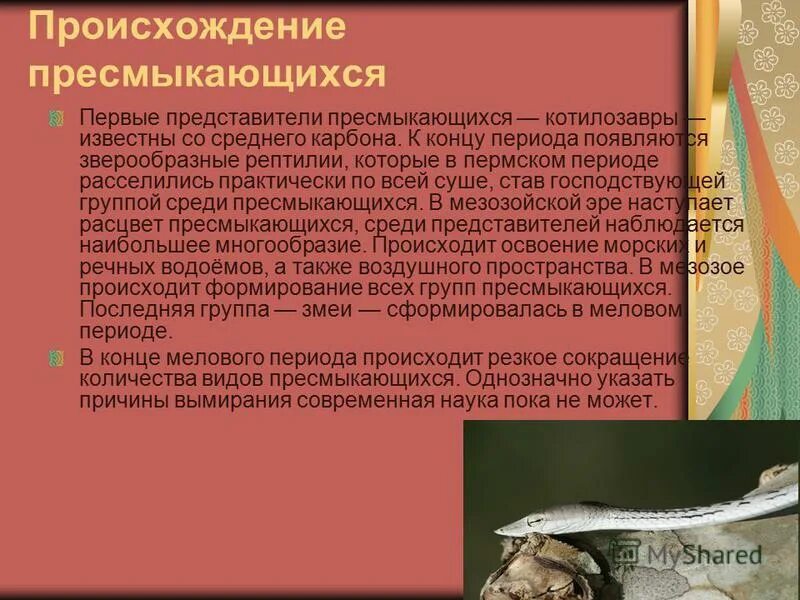 предки пресмыкающихся. 1 пресмыкающиеся произошли от. предки современных пресмыкающихся. котилозавры признаки пресмыкающихся. древние пресмыкающиеся котилозавры.