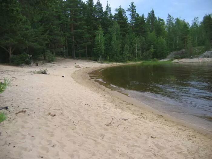 Пляжи на острове койонсаари. Берег ладоги запорожское. Сортавала остров койонсаари. Пляж в сясьстрое на ладоге. Берег ладожского озера у сясьстроя.