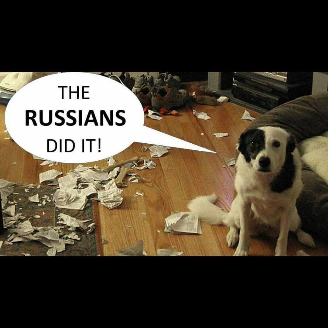 How is it in russian. Russians did it. russian did it мем.