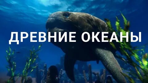 Загадки океанов документальный