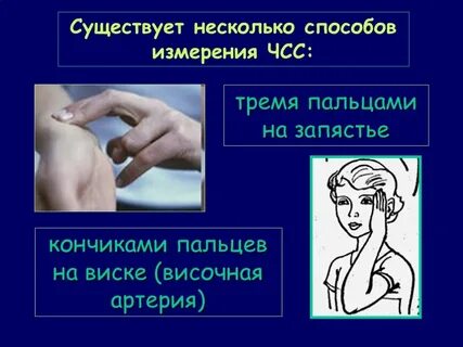 Измерение частоты пульса