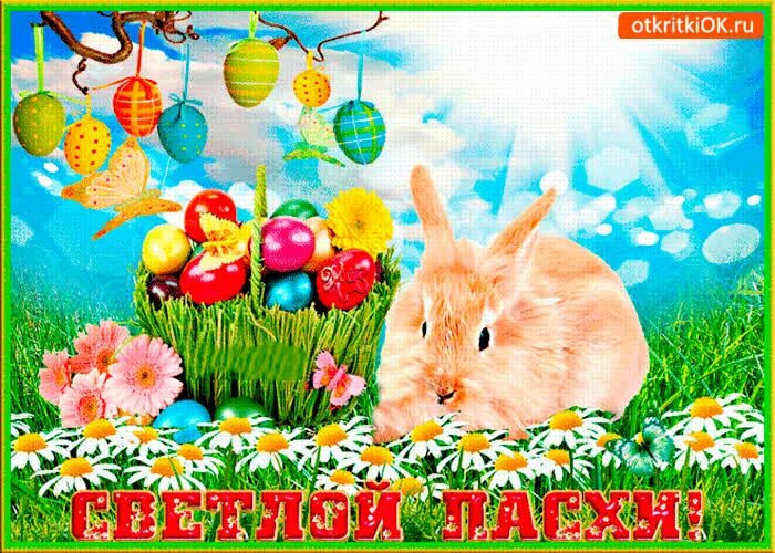 Приветствие на католическую пасху. Пасхальные открытки. Католическая пасха. Поздравление с пасхой. Открытки с католической пасхой.