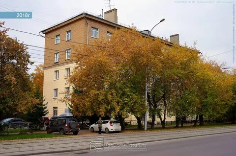 Новосибирская 21
