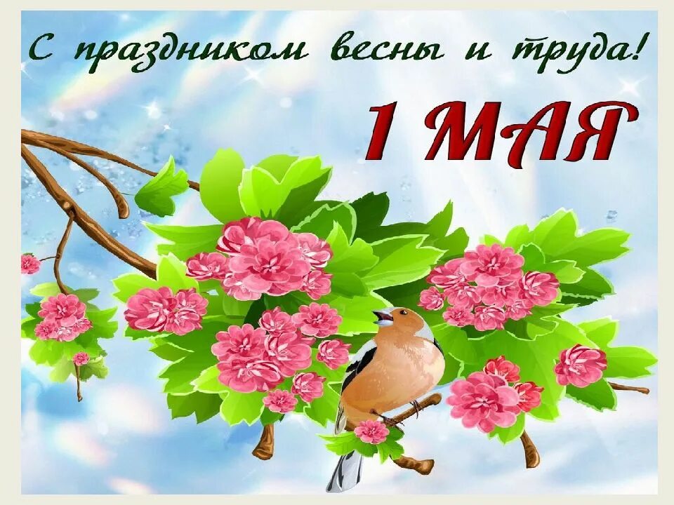 В мае откроется. С первым весенним маем. с 1 мая с праздником день весны день труда. картина первое мая день весны и труда. день весны и труда рисунки поздравления.
