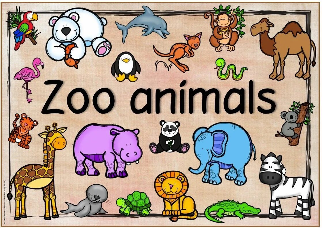 Zoo animals videos. Животные в зоопарке на английском. Zoo animals звери. Животные for Kids. Английский at the Zoo.