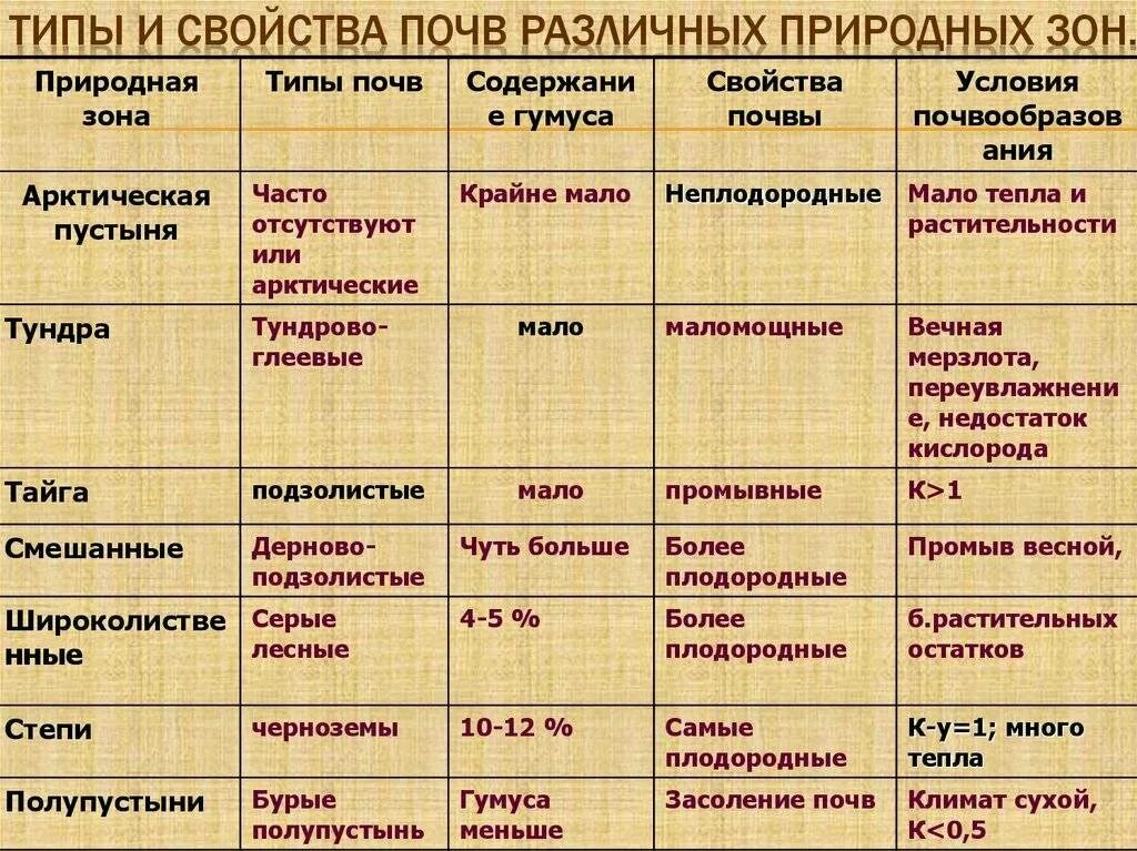 Установите соответствие природная зона характерная почва. Типы почв России условия формирования. Типы почв таблица 7 класс. Характеристика почв России таблица. Таблица по географии 8 класс типы почв и их свойства таблица.