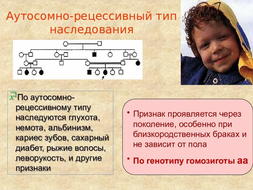 Пример аутосомно рецессивного наследования. Аутосомный рецессивный тип наследования. аутосомно-рецессивный тип наследования. типы наследования признаков аутосомно рецессивный тип наследования. признаки аутосомно-рецессивного типа наследования.