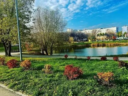 Парк в новокуйбышевске