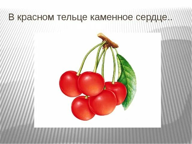 Загадка про вишню. Загадка про черешню. загадка про вишню для детей. загадка с ответом вишня.