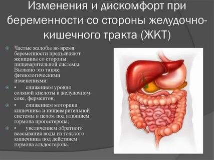 Болезнь связанная с кишкой