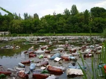 Грязный водоем
