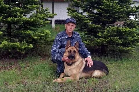 Аристократ собаки приморский край