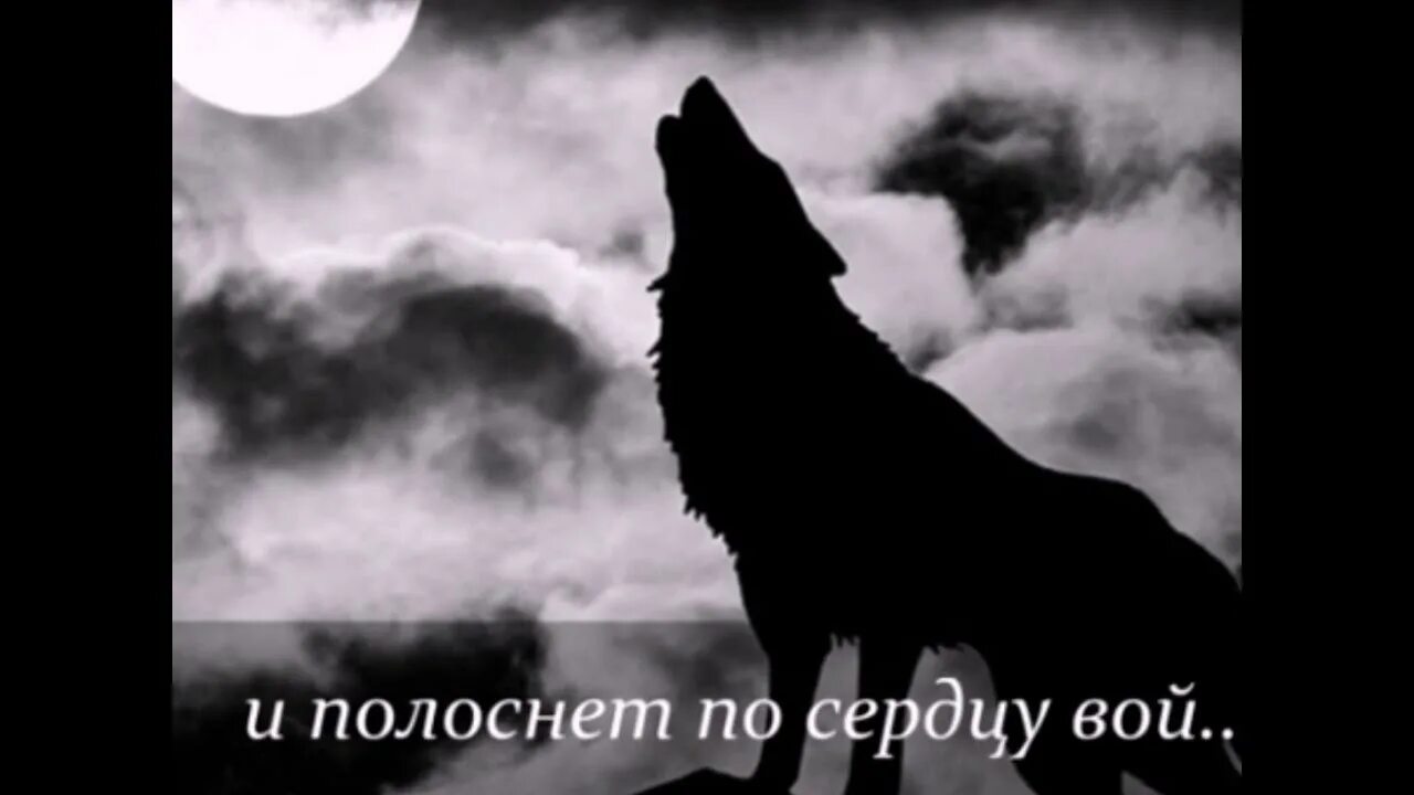 Воет днем человек. Волк уходит. Волк в тоске. Волк одиночество. Танго одинокого волка ....ZHENYAЕВГЕНИЯ.