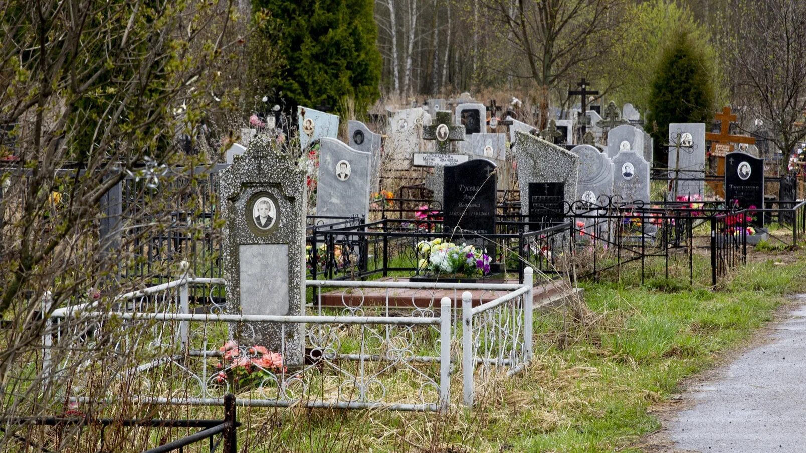 Похоронен в ярославле. Сколько стоят похороны спбгорритуал.