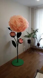 Напольные цветы для дома своими руками