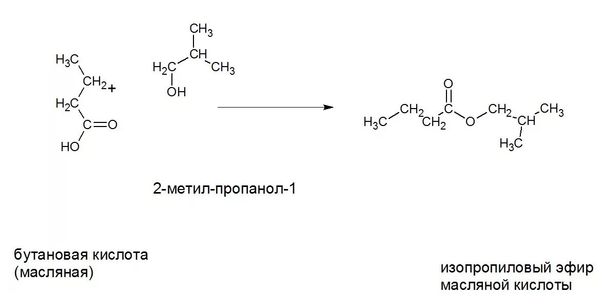 Масляная кислотой и 2 метилпропанол. 2 Метил масляная кислота. Изопропиловый эфир бутановой кислоты формула. Пропанол 1 реакция с кислотами. Метиловый эфир бутановой кислоты