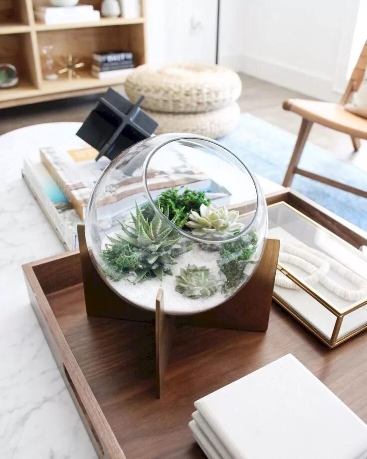 Декор журнального столика. Столик для террариума. The plant is the coffee table. Столик террариум журнальный. Журнальный столик с растениями внутри.