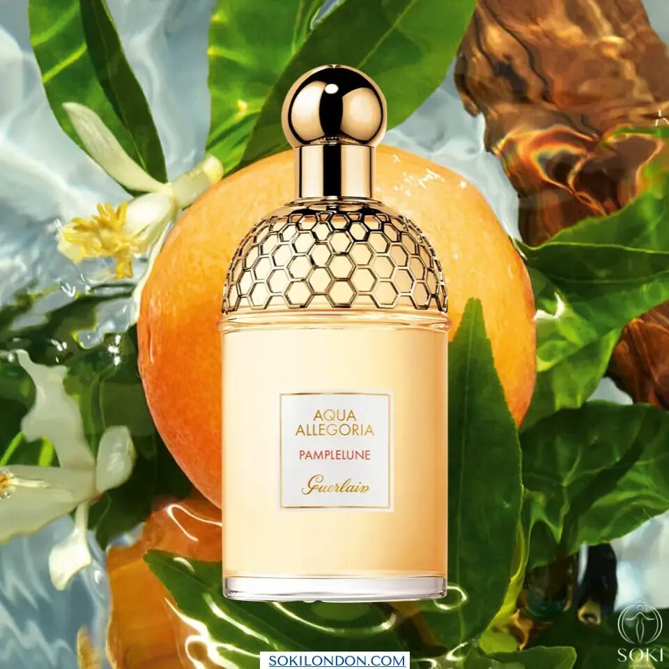 Герлен Аква аллегория Пампелуне. Allegoria basilic Aqua Allegoria базилик и мандарин. Givenchy Aqua Allegoria. Аква мандарин базилик. Aqua allegoria pamplelune