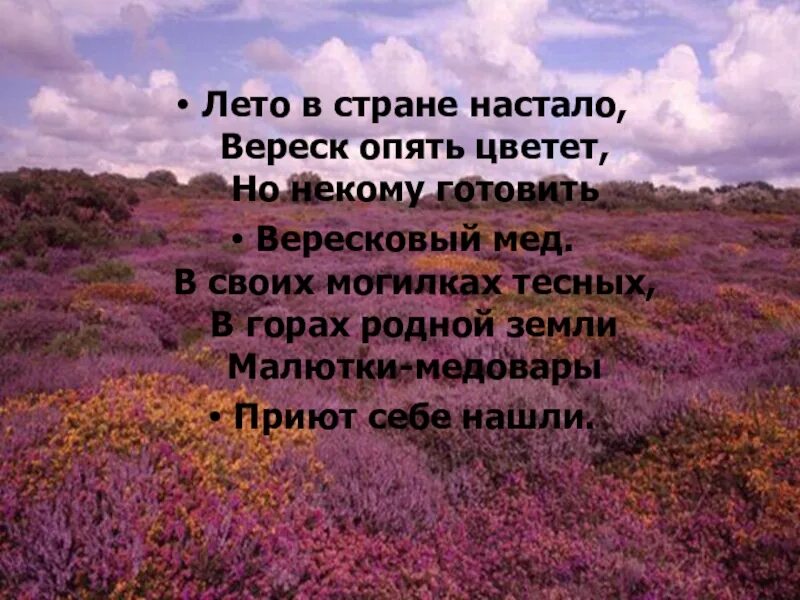 Песня и снова расцветет и снова. Вересковый мёд. Вересковый мед стихотворение. Лето в стране настало. Вереск стихи.