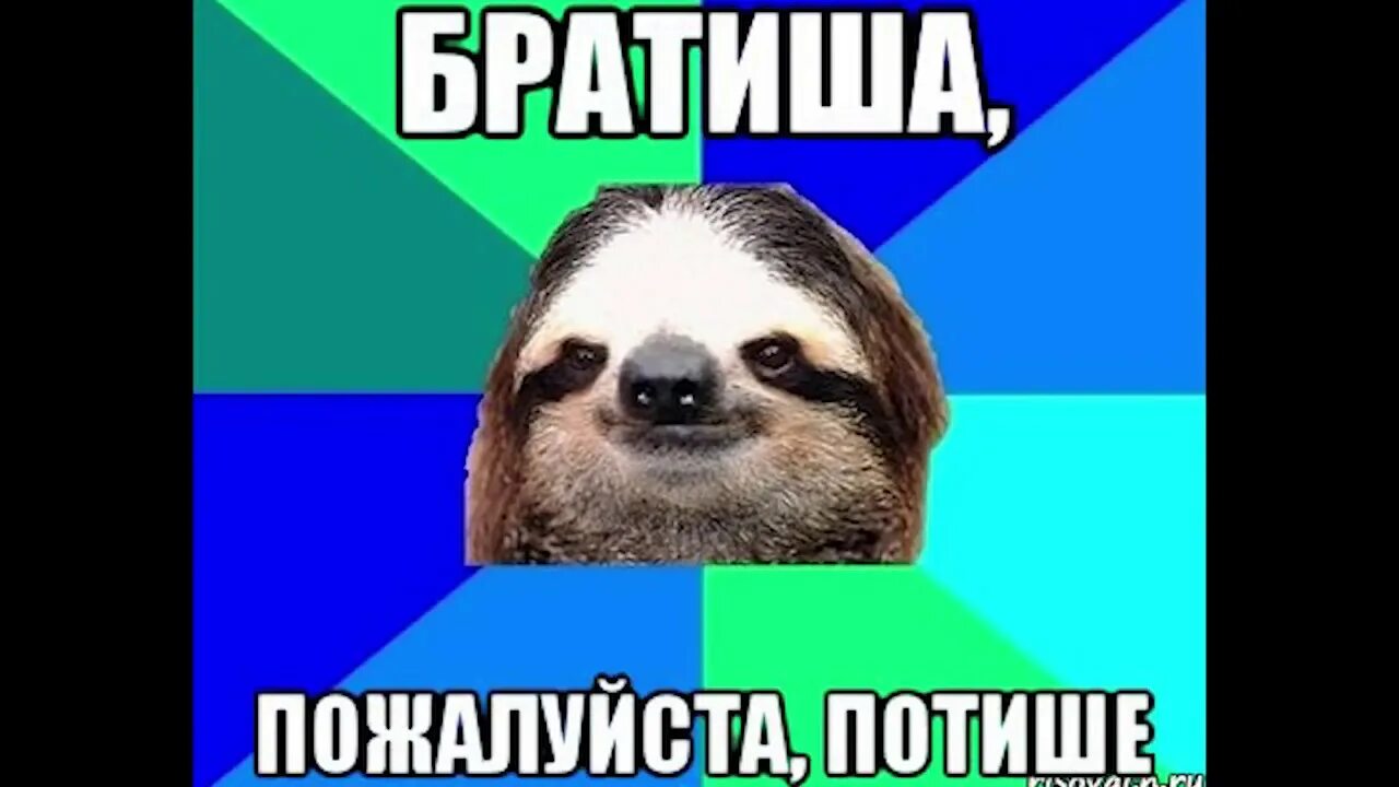 Сделай потише на 1 день. Ленивец с надписью тише. Тихо Мем. Потише Мем. Тише, пожалуйста.