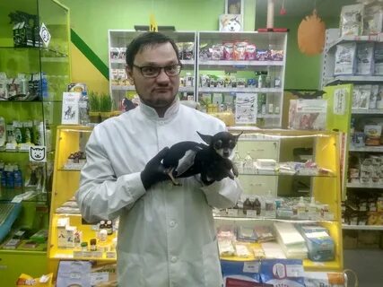 Ветеринар иркутск