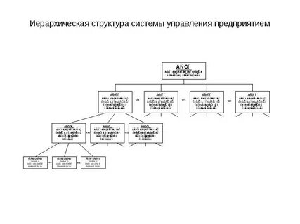 Иерархия организационной структуры управления