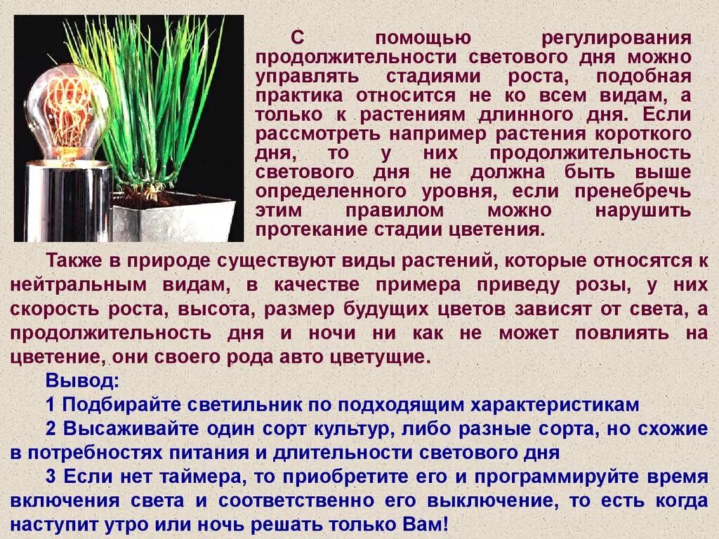 Растения нейтрального светового дня. Растения короткого светового дня примеры. Растения длинного и короткого дня. Световой день для растений.