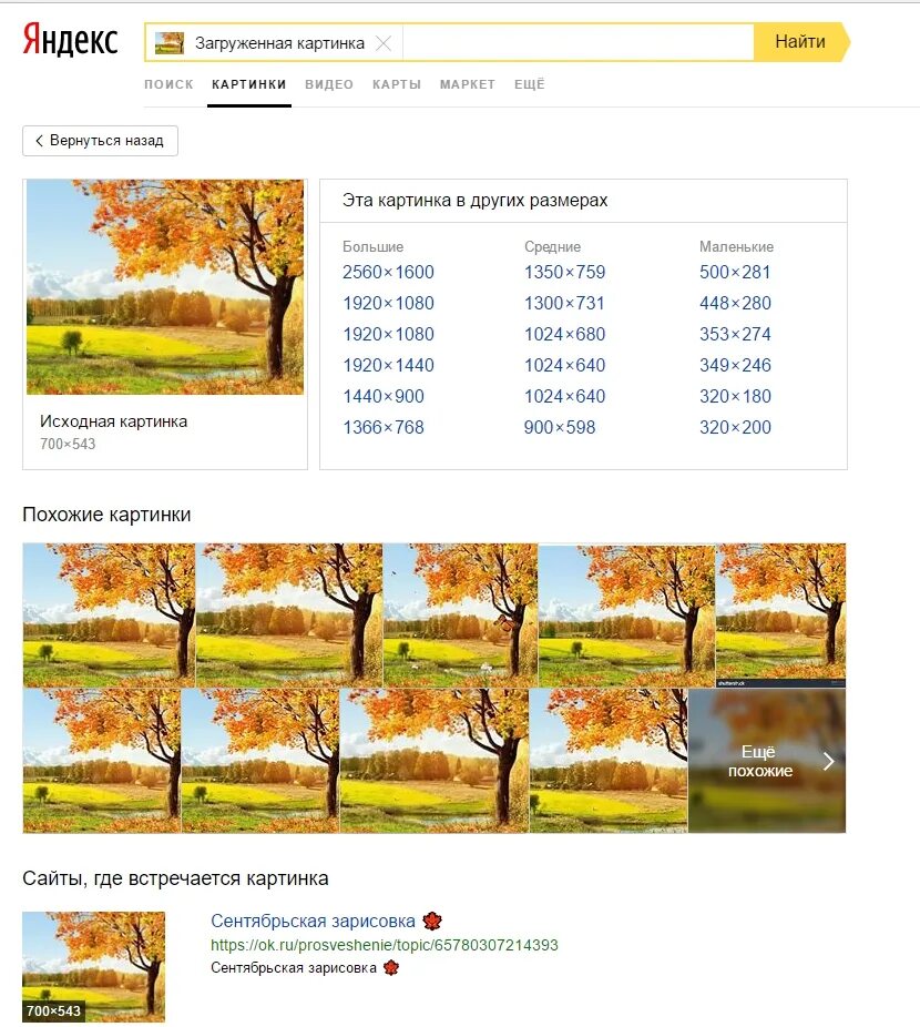 Найти по картинке в яндексе. Искать похожее изображение. Поиск похожих картинок Яндекс. Похожие изображения по картинке. Искать похожие изображения по картинке.