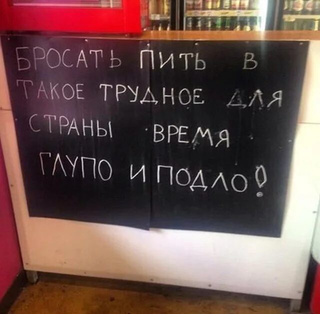 Трусливая глупая. Бросил пить. Бросать пить в такое трудное для страны время. Бросать пить в такое сложное. Бросить пить в такое сложное для страны время подло картинка.