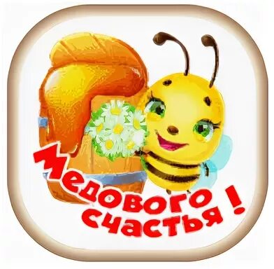 Спасибо за мед картинки прикольные