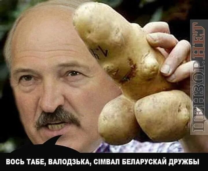 Зачем есть мясо с картошкой лукашенко. Лукашенко. Лукашенко и картошка приколы. Лукашенко бульба. Лукашенко смешные высказывания.