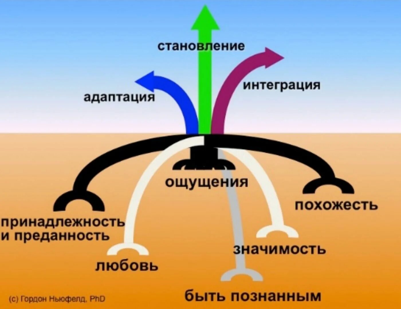 6 привязанность