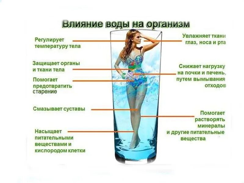 Влияние воды на организм. Польза воды. Польза воды для организма. Вода в организме человека.