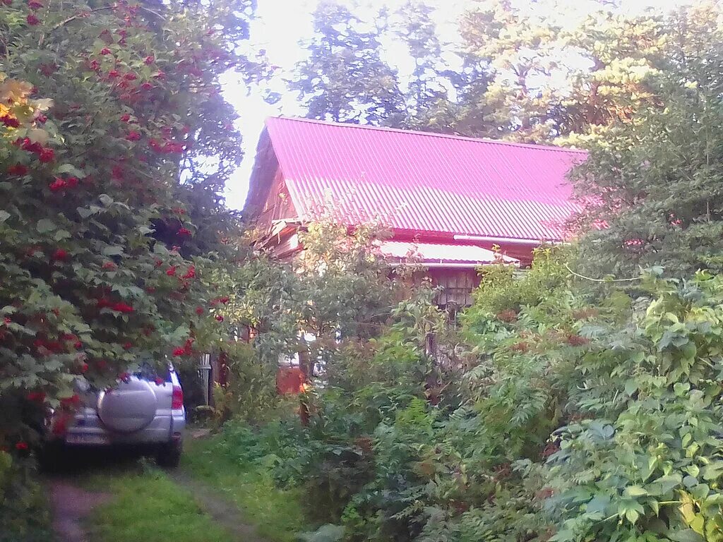 золотая рыбка база отдыха бронницы. кожурновка бронницы. бронницы парк луг. парк кожурновка бронницы. бронницы спортивная база олимпийского резерва.